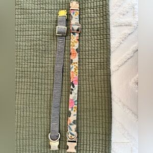 The Foggy Dog Collars Set (M)